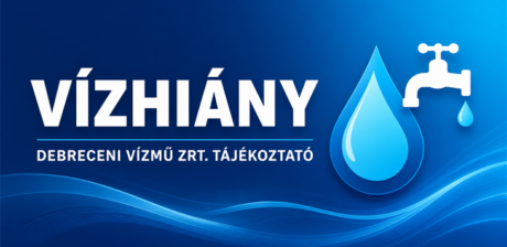 vizhiany
