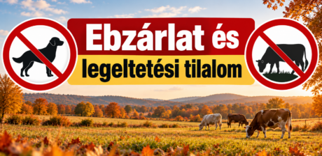 legelő_ ebzárlat és tilalom